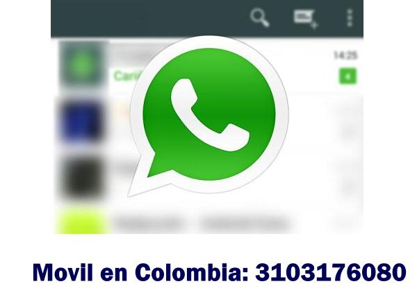 Recargas Paypal Telefono Bogota Colombia